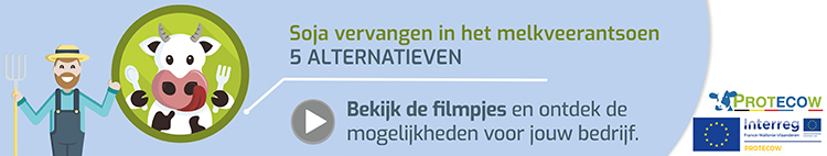 Banner PROTECOW