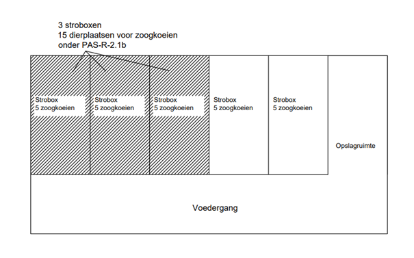 Beweiding zoogkoeien