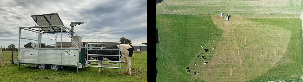 Foto Greenfeed en proefopstelling