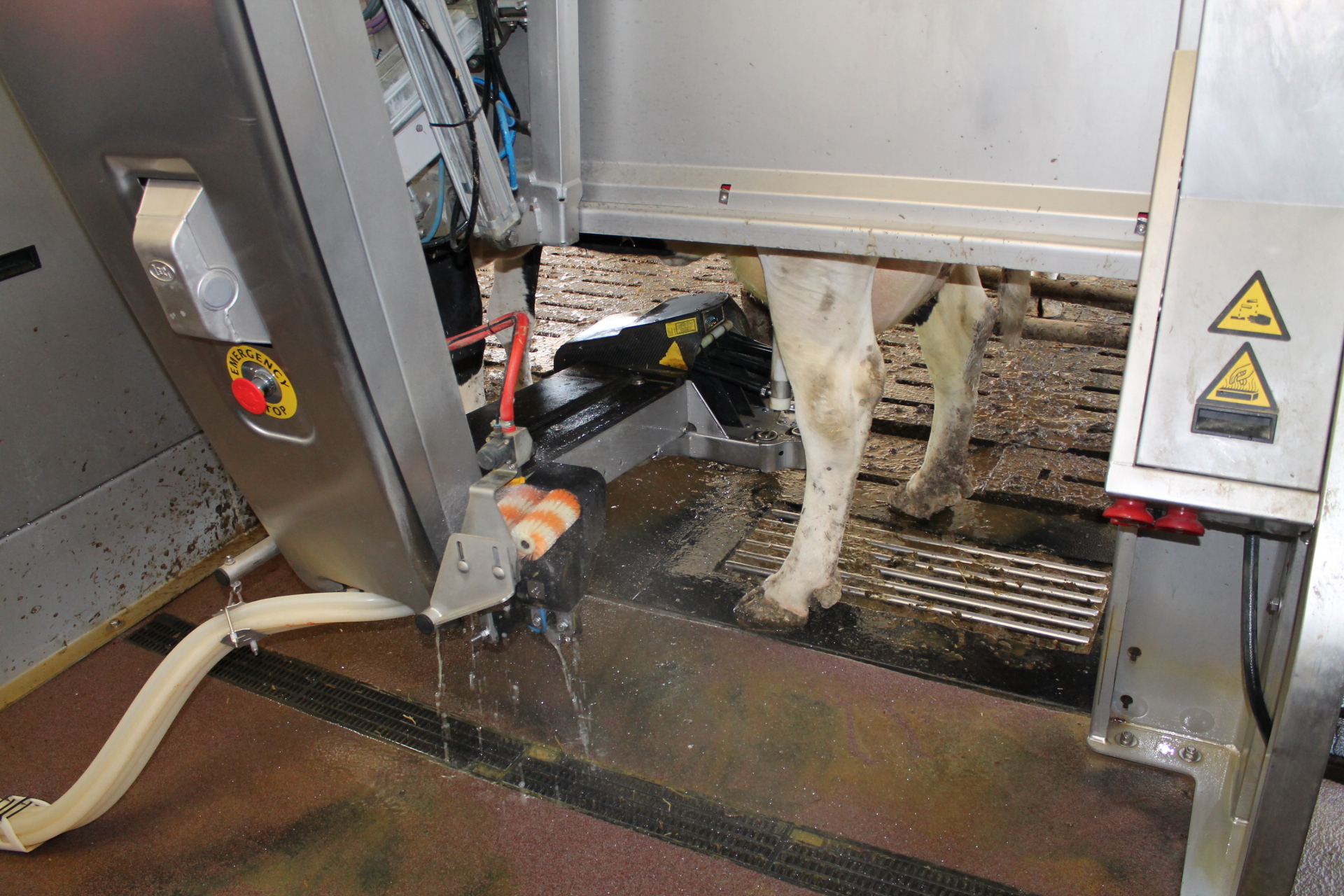 Het reinigingsproces van een melkrobot verbruikt heel wat water
