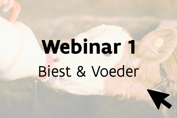 Webinar 1