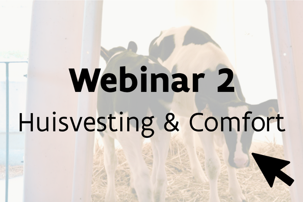 Webinar 2