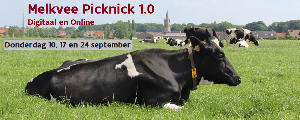 Melkvee Picknick 1.0