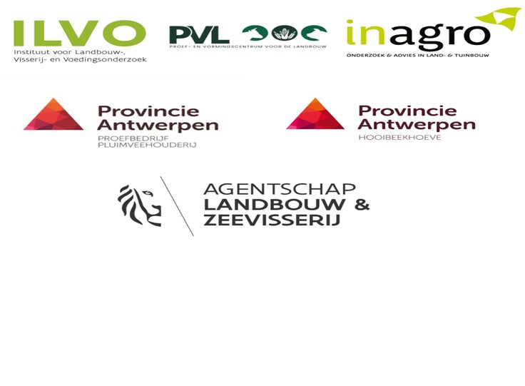 Partners