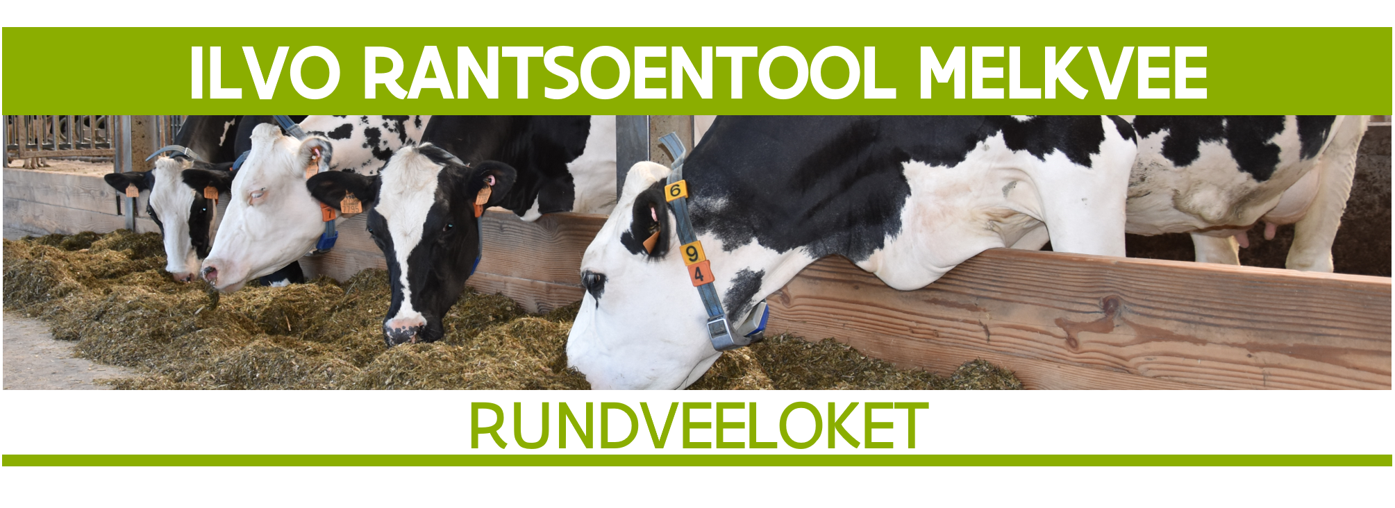 ILVO Rantsoentool Melkvee