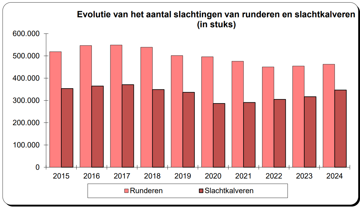 Slachtingen runderen België