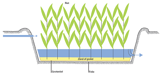 Vloeirietveld